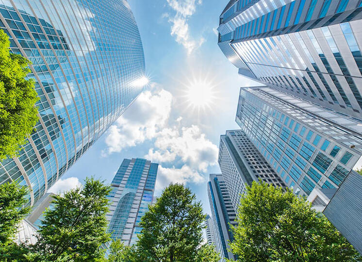 分社化が進んだ中堅企業の行き詰まりを打破！ヤマチの連邦経営「第7ステージ」組織体制の全貌｜