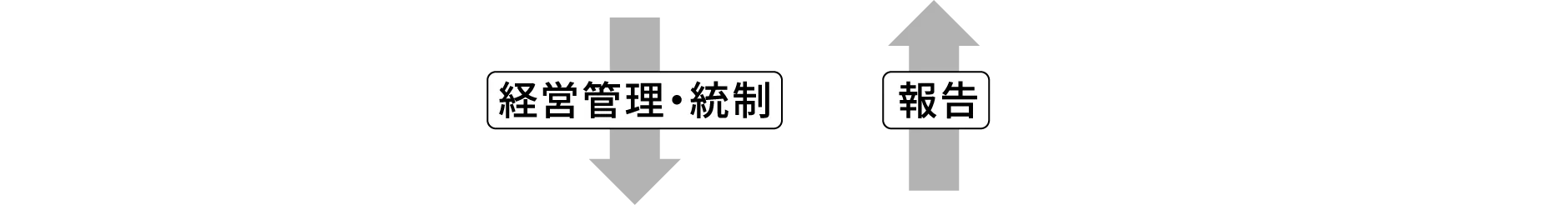経営管理・統制、報告
